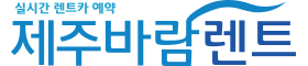 주식회사 제주바람투어 로고